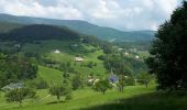 Percorso Marcia Orbey - Col du Wettstein, le circuit des sources par les Basses Huttes - Photo 2