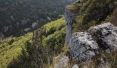 Trail Walking Le Chaffal - Arches de Combleroufle - Photo 3
