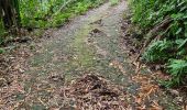 Tour Wandern Grand'Rivière - grand-rivière/boucle fond potiche  - Photo 4