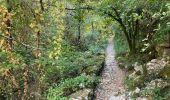 Trail Walking Saint-Alban-Auriolles - Tour des gorges de la baume - Photo 7