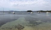 Tour Wandern La Londe-les-Maures - Plage Estagnol 8-9-2021 - Photo 2