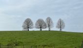 Excursión Senderismo Chaumont-Gistoux - BE-Chaumont-Gistoux - Vieusart  - Photo 10
