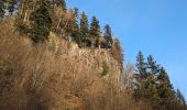 Tour Wandern Michelbrunn - suuntoapp-Hiking-2024-01-13T07-49-52Z - Photo 3