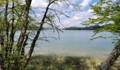 Randonnée V.T.C. Peigney - Tour du lac de la Liez et passage par le lac de Charmes - Photo 5