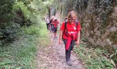 Excursión Senderismo Fontainebleau - thomery3 - Photo 8