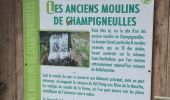 Tour Wandern Lay-Saint-Christophe - lay saint Christophe le moulin noir - Photo 16