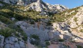 Excursión Senderismo Saint-Antonin-sur-Bayon - Sainte Victoire crépuscule  - Photo 8