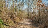 Trail Walking Pontoise - SityTrail - GRP CV-IDF - Photo 7
