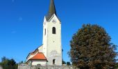 Tour Zu Fuß Gemeinde Göttlesbrunn-Arbesthal - Via Vinum (Rundwanderweg Göttlesbrunn - Arbesthal) - Photo 2