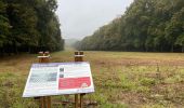 Tocht Stappen Meudon - la Forêt Domaniale de Meudon (2) - Photo 1