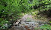 Excursión Senderismo La Roche-en-Ardenne - Un petit mélange des promenades balisées de la commune  - Photo 11