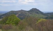 Tocht Noords wandelen Volvic - Puy des Gouttes - Photo 1