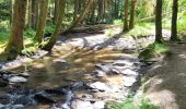 Excursión Senderismo Houffalize - Houffalize 240625 - Photo 4