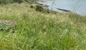 Tour Wandern Préfailles - Boucle en pointe de Saint Gildas - Photo 14