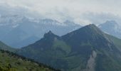 Randonnée Marche Châtillon-en-Diois - Montagne de Beaupuy - Nonnières - Photo 20