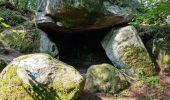Randonnée Marche Fontainebleau - Fontainebleau sentier Denecourt 10 - Photo 2