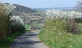 Tour Zu Fuß Wiesloch - Weinwanderweg Mannaberg - Photo 6