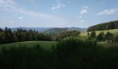 Tour Wandern Woll - 22 juillet - Photo 2