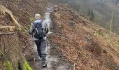 Tour Zu Fuß Weismes - Reinardstein 12 Km - Photo 18