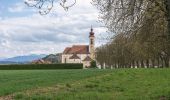 Tour Zu Fuß Bad Wimsbach-Neydharting - Via Villa Rustica - Photo 3