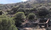 Tocht Stappen Cerbère - cerbère. cap cerbère. coll dels belitras . puig dels frères. cerbère - Photo 1