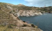 Tocht Stappen Collioure - Collioure Banyuls  - Photo 2