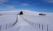 Trail Walking Pailherols - rando sentier des  gentianes - Photo 2
