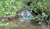 Tour Wandern Theys - PETITE BALADE A PIPAY - Photo 6