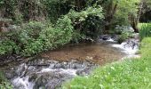 Percorso Marcia Chanaz - SAVOIE: CHANAZ - SAINT PIERRE DE CURTILLE - JONGIEUX - Photo 2