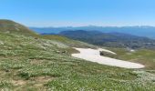 Trail Walking Bouvante - Pas de la Ferrière  - Photo 12
