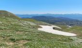 Excursión Senderismo Bouvante - Pas de la Ferrière  - Photo 12