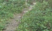 Trail Walking Marray - Marray - Les versants de la Dême - Photo 8