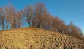 Tour Zu Fuß Hofbieber - Milseburg-Malerrundweg - Photo 7