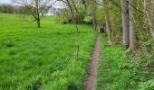 Trail Walking Andenne - Maizeret 120424  - Photo 19