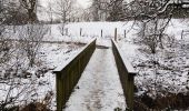 Tocht Stappen Bütgenbach - Le lac miroir à Bütgenbach   - Photo 5