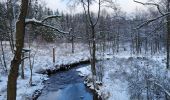 Randonnée Marche Tenneville - Laneuville aux bois 180124 - Photo 17