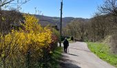 Excursión Senderismo Olne - Fraipont Nessonvaux par l’arrière - Photo 2