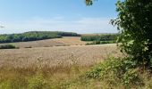 Randonnée Marche Remiencourt - le bois du roi  Remiencourt 80 - Photo 4