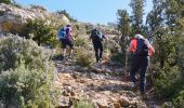 Excursión Senderismo Garéoult - L'Amarron depuis Garéoult - Photo 6