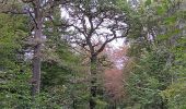 Randonnée Marche Seraing - ptit tour par les ptits chmins du bois de sraing - Photo 7