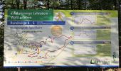 Trail On foot Lahnstein - Rundwanderweg F4 - Photo 2