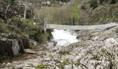 Trail Walking Prévenchères -  Gorges de Chassezac - Photo 9