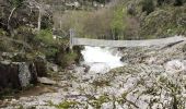 Tocht Stappen Prévenchères -  Gorges de Chassezac - Photo 9