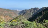 Trail Walking Ingenio - Barranco de Guayadeque (Gran Canaria) - Photo 10