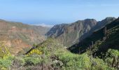 Excursión Senderismo Ingenio - Barranco de Guayadeque (Gran Canaria) - Photo 10