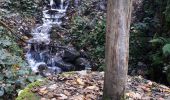 Trail Walking Vaulnaveys-le-Bas - Les Balcons de Belledonne au dėpart de Montchaffrey - Photo 2