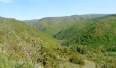 Randonnée Marche Courgoul - Les gorges de Courgouls et le Pic de Cluzel - Photo 7