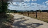 Tour Wandern Ibingen - Battincourt étang - Photo 1