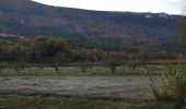 Tocht Stappen Mollans-sur-Ouvèze - mollans sur ouveze  - Photo 19