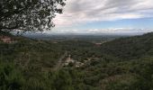 Tour Wandern Laroque-des-Albères - La vallée heureuse retour par le lotisement - Photo 2